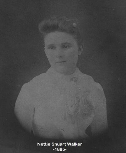 Walker, Nettie Shuart 1885