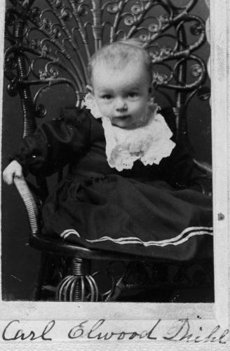 Diehl, Carl Elwood