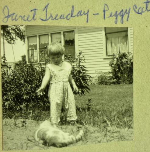 Treaday, Janet  Peggy the cat